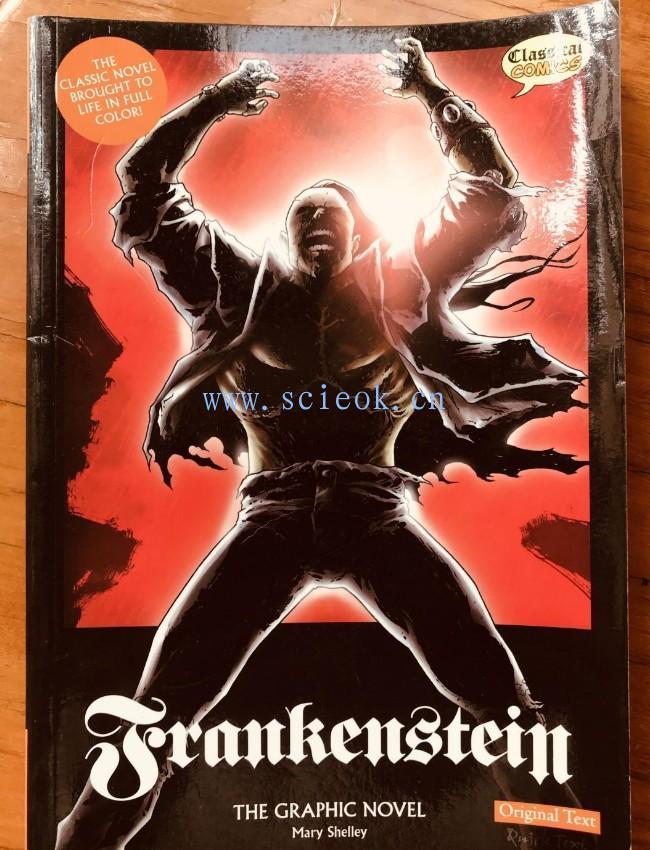 Frankenstein the Graphic Novel: Original Text: US Edition  二手英文原版 第1张